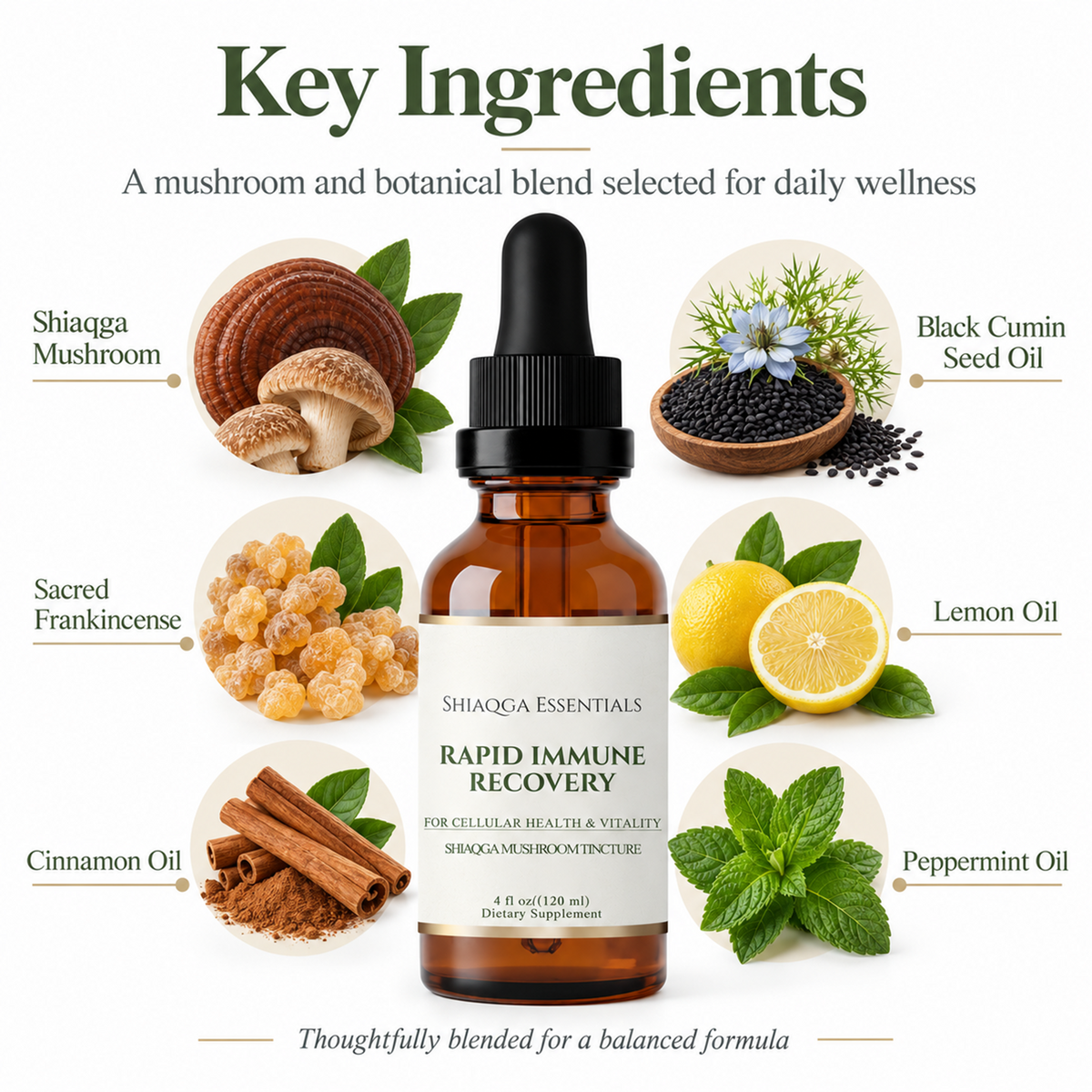 SHIAQGA Rapid Immune Recovery how to use